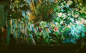 Festival Kromali 2025 : près de 35 000 visiteurs et trois nouvelles œuvres dans les rues de Saint-Paul