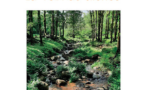 Un recueil de poèmes qui dénonce les héritages coloniaux et célèbre la résistance et la mémoire antillaises