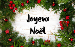 Megazap vous souhaite un joyeux Noël et vous remercie pour votre fidélité