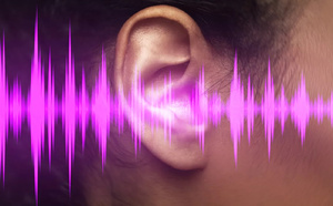 "Anatomie d’un son" : quand les musiques ultramarines révèlent leurs secrets