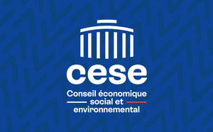 Santé dans les Outre‑mer : le CESE appelle à une stratégie nationale ambitieuse pour réduire des inégalités persistantes