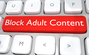 L’Arcom met en demeure deux nouveaux sites pornographiques