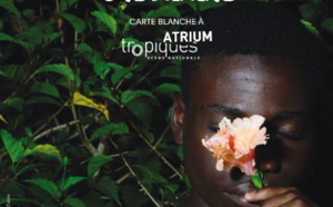 Festival Outre-Mer Veille: Une nouvelle édition dédiée à la création martiniquaise