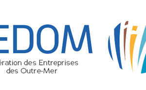 Adaptation du TESE, une simplification nécessaire face au défi du travail informel en Outre-Mer