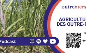 Outremers360 en direct du Village des Outre-mer au Salon International de l’Agriculture 2026