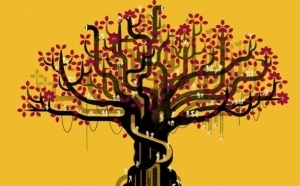 Programmation dévoilée : Le FIFOI 2026 s’apprête à faire rayonner le cinéma de l’Océan Indien