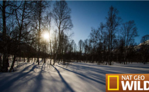 NAT GEO WILD : la série documentaire Destination Wild fait escale en Europe !