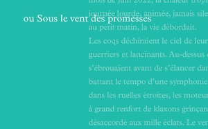 Littérature : un regard lucide sur Mayotte avec Karibou Maoré, le nouveau roman de Jean-Yves Guilleux