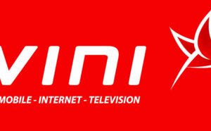 Vini: Perturbations sur le réseau Internet, Fixe