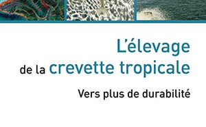 Crevetticulture tropicale : un nouvel ouvrage explore les pistes pour rendre la filière plus durable