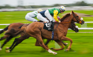Pools de Pari Mutuel vs Systèmes à Cotes Fixes dans le Turf Français