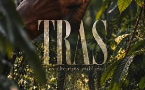 « Tras : Les chemins oubliés », le documentaire qui révèle les secrets de la forêt martiniquaise, le 28 octobre sur Canal+ Caraïbes