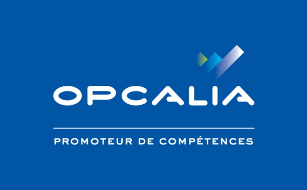 Opcalia lance demain le dispositif Terre d’Emploi Martinique pour former les jeunes demandeurs d'emplois  