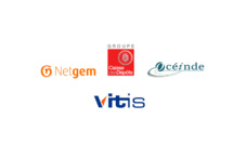 Netgem / Caisse des dépôts / Océinde (Zeop): lancement de Vitis, nouvel opérateur 100% Fibre