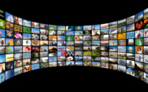 Projet de partenariat du Service du patrimoine archivistique et audiovisuel avec l'Université de la Polynésie française