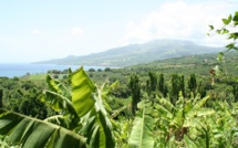 Le jour du Seigneur propose un autre regard sur la Martinique, le 30 avril sur France 2