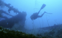 France Ô: Passion Outremer propose, ce dimanche, un voyage en Martinique sur les traces du Roraïma