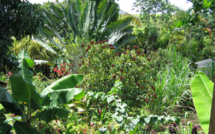 Nouveau: France Ô lance sa nouvelle collection de documentaires « Arts et cultures »