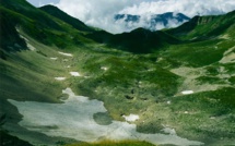 La Russie à l'honneur en juin sur Nat Geo Wild