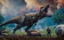 En juillet / Août à la TV !