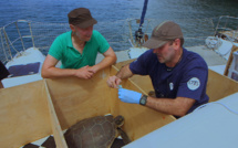 "Allez savoir..." la nouvelle série documentaire de France, premiers épisodes direction les Antilles avec Sabine Quindou et Yves Paccalet