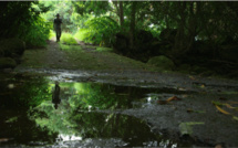"Le Bon Sens des Hommes" projeté au Comptoir du vrac (Piton Saint-Leu) ce mercredi