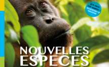 Terra Darwin, le nouveau magazine sur la nature, les sciences et les voyages qui plante des arbres