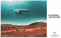 "Intensément Spectaculaire": L'IRT déploie en ce début d'année une nouvelle campagne de communication