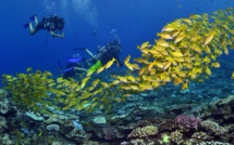 L'île de la Réunion dans l’émission « C'est au programme » sur France 2