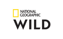 Nat Geo Wild devient à partir du 1er février National Geographic Wild et fait évoluer son identité graphique