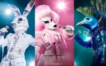 TF1 va adapter l'émission musicale « The Masked Singer » avec Camille Combal à l'animation