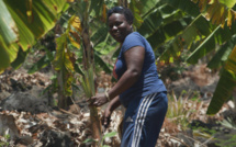 Inédit: Escale chez les femmes combattantes mahoraises, ce jeudi sur France Ô