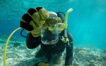 "Passion Outremer": A la découverte du lagon Calédonien, ce dimanche sur France Ô