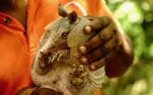 France Ô: Cap sur Trinidad et Tobago, ce dimanche dans Passion Outremer