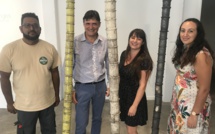 Première résidence artistique en entreprise à La Réunion