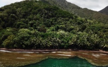 La Nouvelle-Calédonie et ses richesses au programme de Passion Outre-Mer, ce dimanche sur France Ô