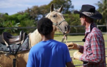 Rencontre entre des détenus et les chevaux sauvages dans "Face à Face", la nouvelle coproduction de Canal+ Calédonie