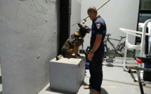 Le quotidien des forces de l’ordre et des médecins de dispensaires en Nouvelle-Calédonie au programme d'Investigatiôns ce mercredi sur France Ô