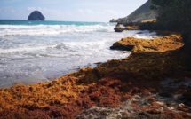 Inédit: L'envers du paradis en Martinique, le 17 juillet sur France 5