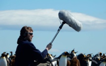 La Réunion: Concert hommage Julien Gauthier et l'Orchestre de la Région Réunion, le 2 novembre au TÉAT Plein Air