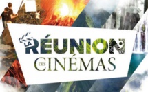 La Réunion des Cinémas : l'industrie internationale du film en éductour à La Réunion 