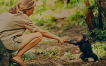 National Geographic annonce un nouveau documentaire dédié à Jane Goodall