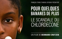 Le scandale du Chlordécone expliqué dans un film-documentaire, le 12 novembre sur Guadeloupe La 1ère