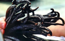 Les trésors de la Nouvelle-Calédonie à l'honneur ce jeudi sur Canal+ Calédonie