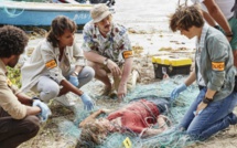 France 2: La série "Tropiques criminels" tournée en Martinique, renouvelée pour une saison 2