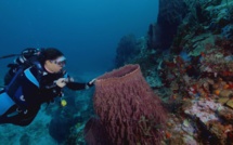 Inédit: "Antilles, les joyaux de l'Atlantique" au programme de Passion Outremer, le 12 avril sur France Ô