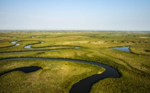 Le plus grand fleuve du monde, l'Okavango, à l'honneur le 15 avril sur National Geographic Wild