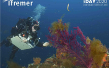 Journée mondiale de l’océan : L’Ifremer met l’océan à l’honneur avec des personnalités de la mer et des chercheurs de l’Institut depuis les trois océans