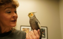 Dr T, vétérinaire du Texas, la nouvelle série documentaire de National Geographic Wild