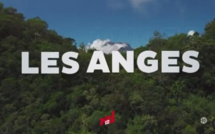 La Réunion: Plusieurs personnes agressés par des candidats de l'émission "Les Anges de la Télé-Réalité"